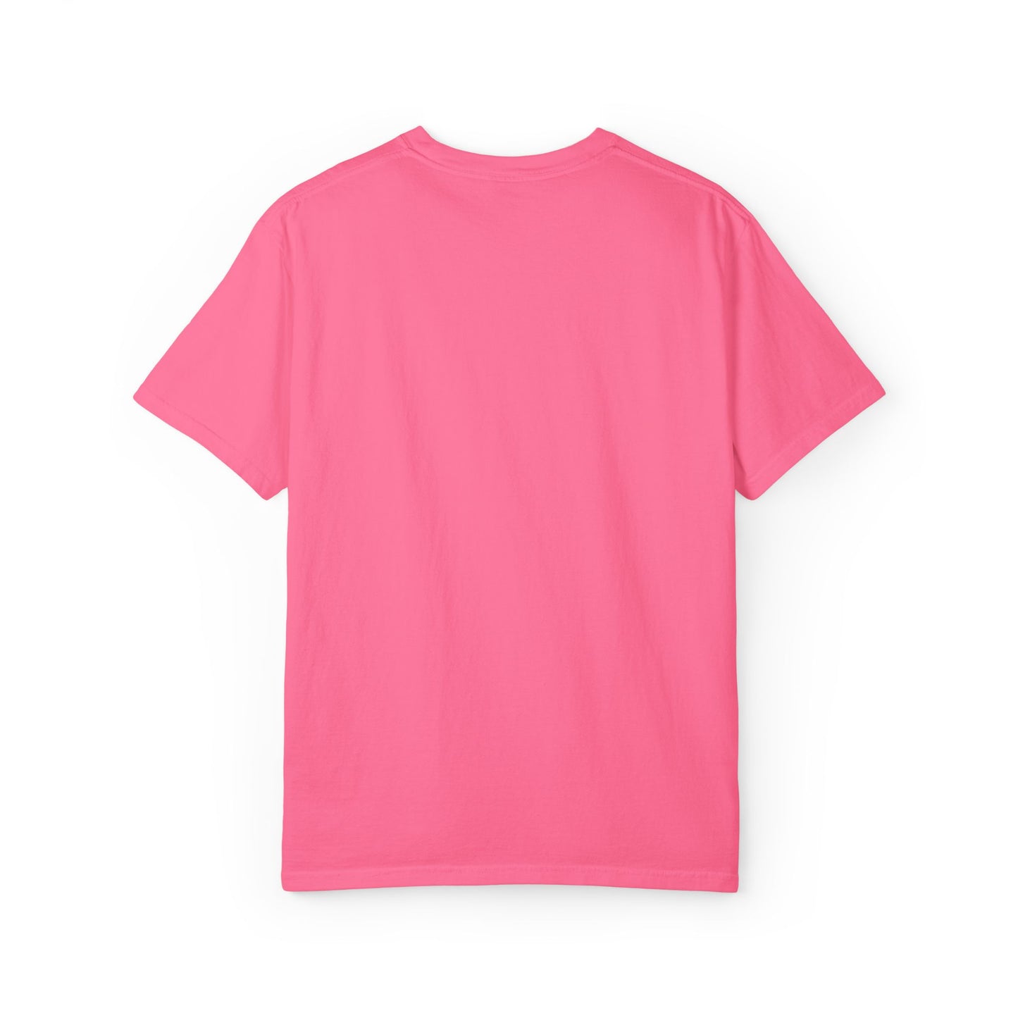 Boys Suck Embroidered  - Minimal Aesthetic Tee