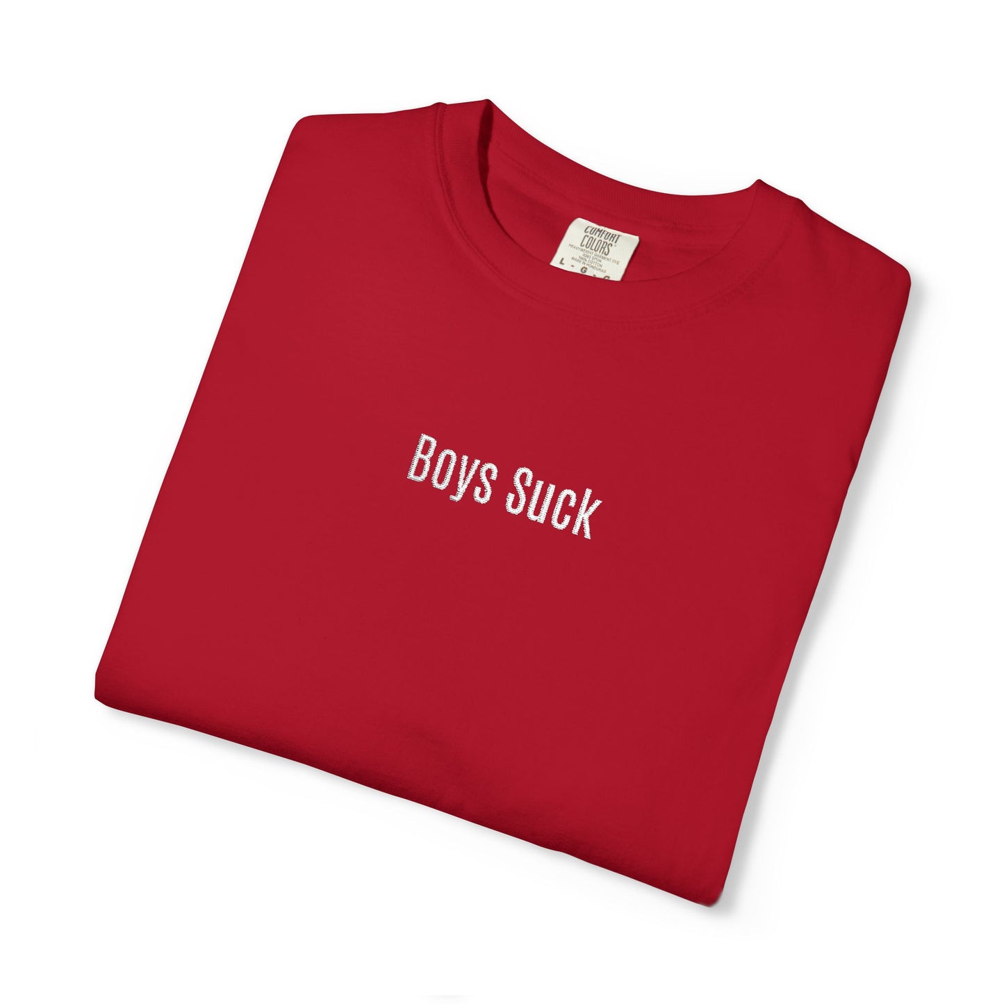 Boys Suck Embroidered  - Minimal Aesthetic Tee