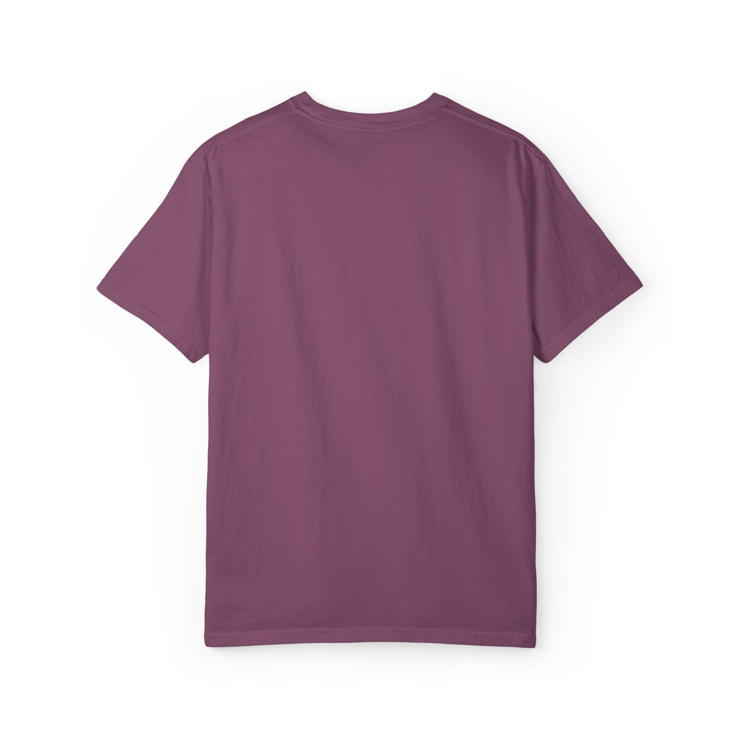 Boys Suck Embroidered  - Minimal Aesthetic Tee