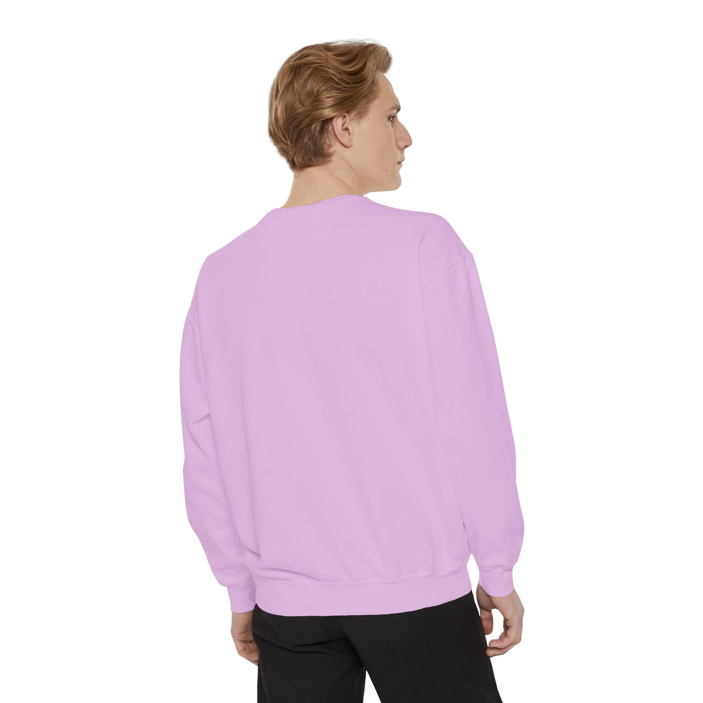 I Need An Alani Sweatshirt - Cute Striped Graphic Crewneck