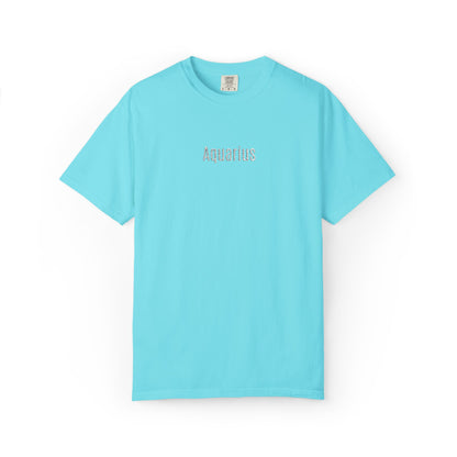 Aquarius Embroidered' Graphic T-Shirt