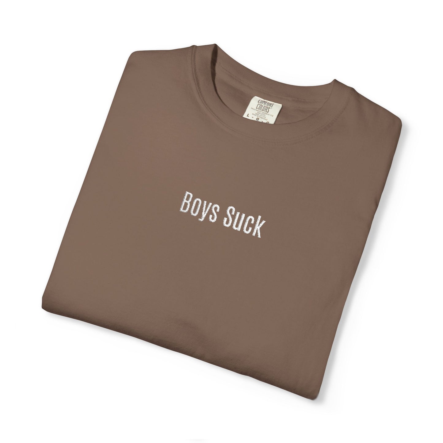 Boys Suck Embroidered  - Minimal Aesthetic Tee