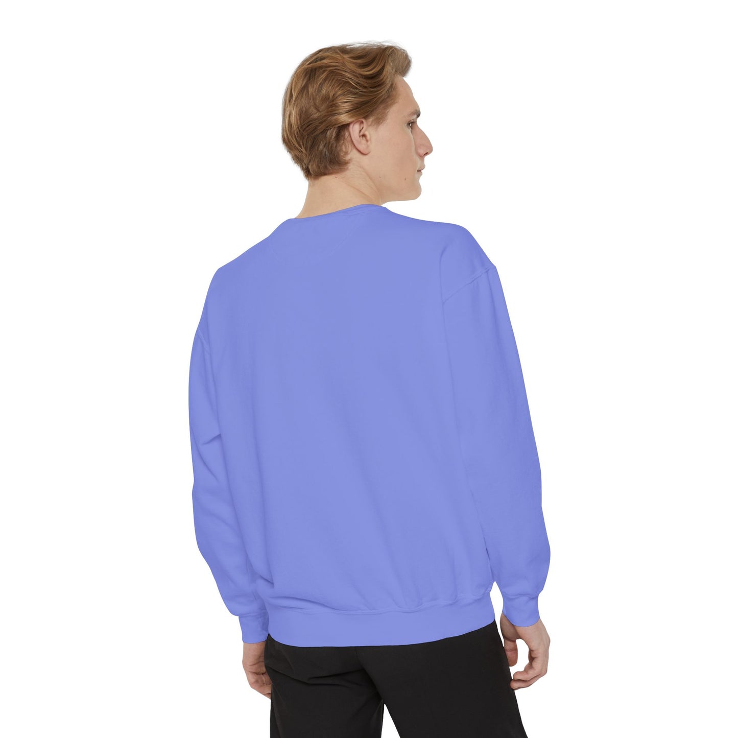 I Need An Alani Sweatshirt - Cute Striped Graphic Crewneck