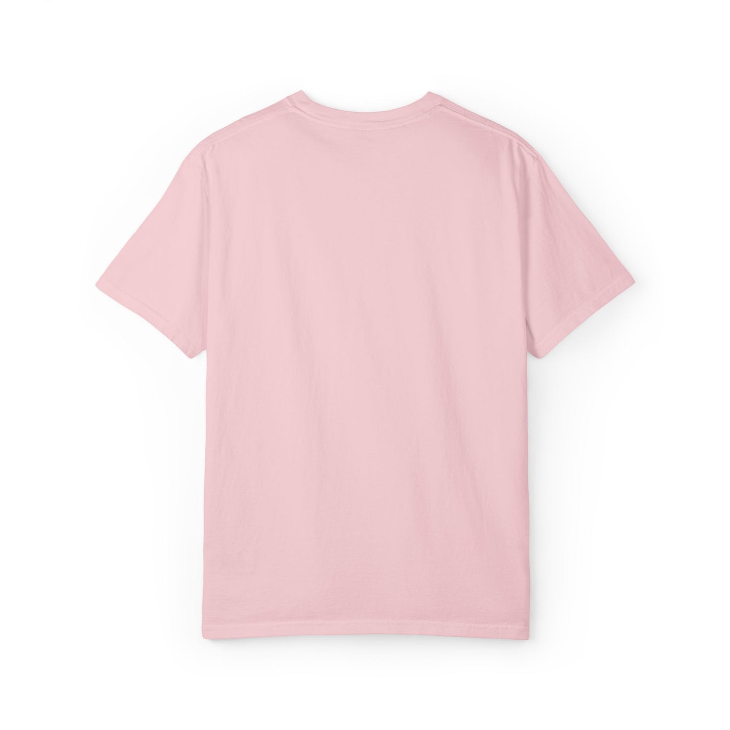 Boys Suck Embroidered  - Minimal Aesthetic Tee