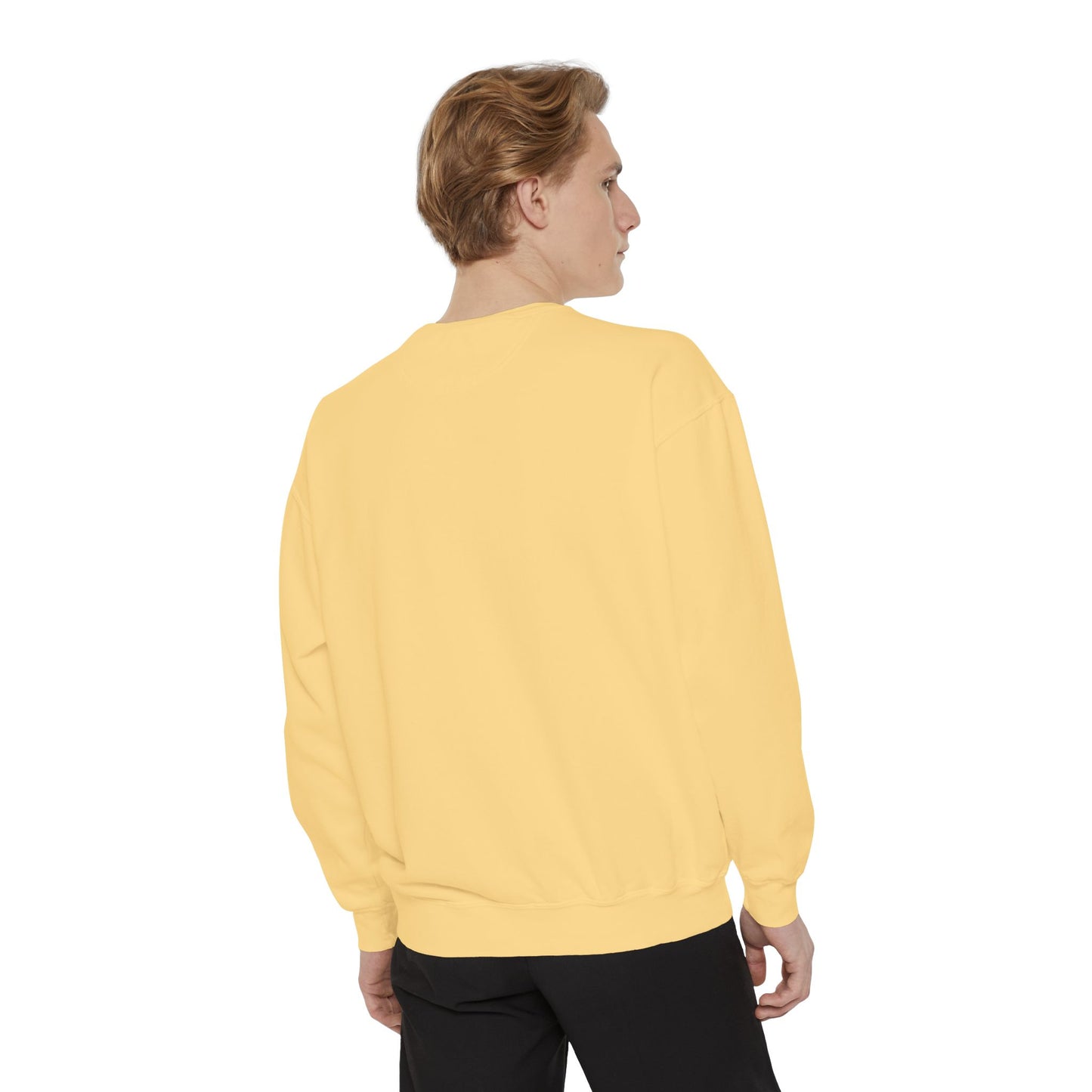 I Need An Alani Sweatshirt - Cute Striped Graphic Crewneck