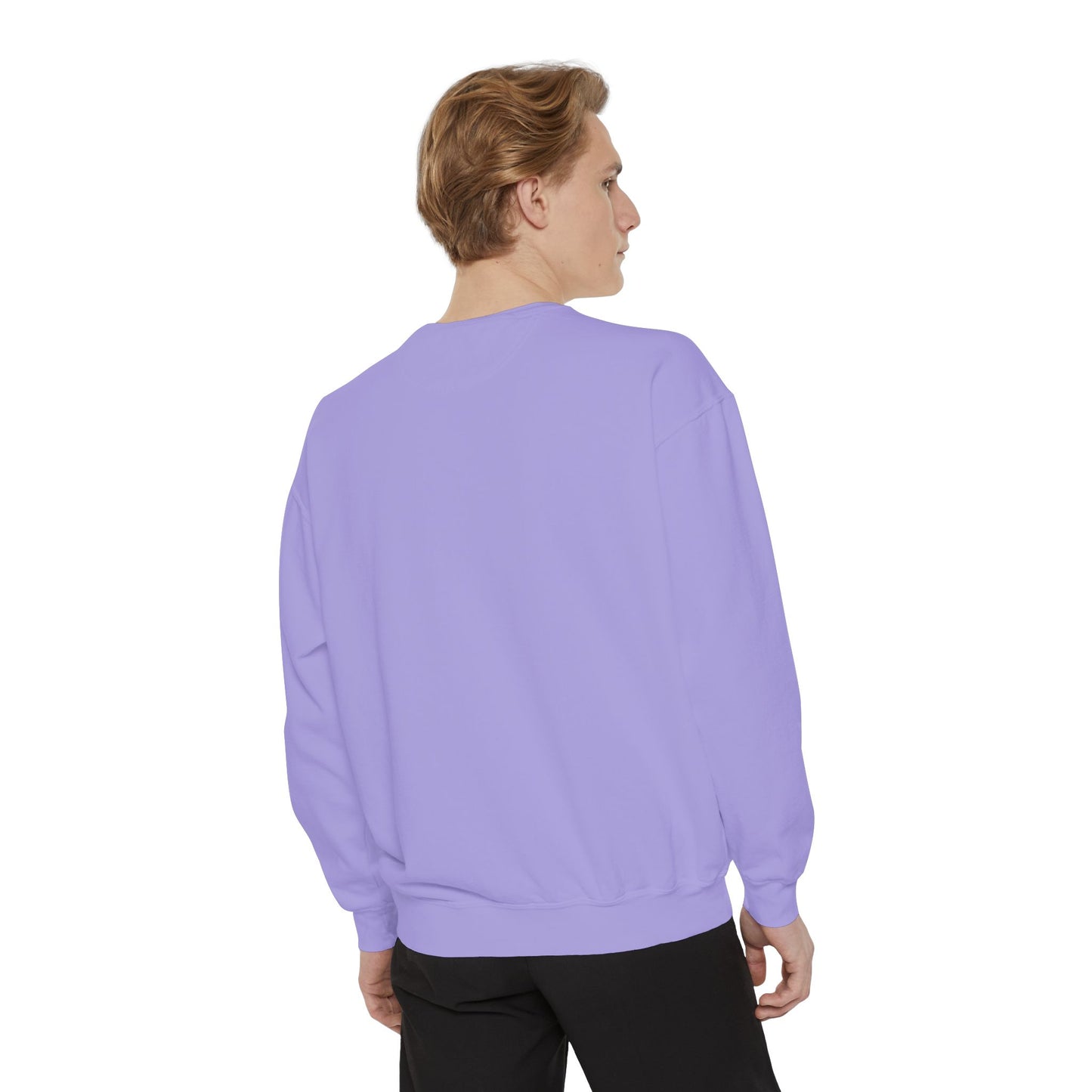 I Need An Alani Sweatshirt - Cute Striped Graphic Crewneck